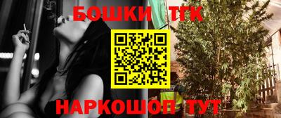 гашик Славгород