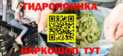 СК Сланцы